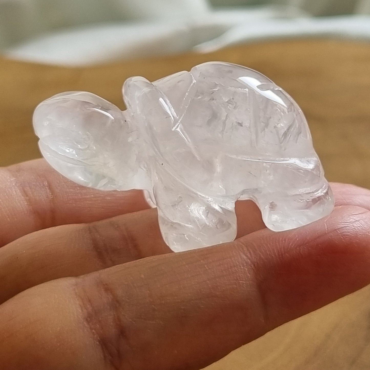 Clear Quartz Tortoise Figurine Display