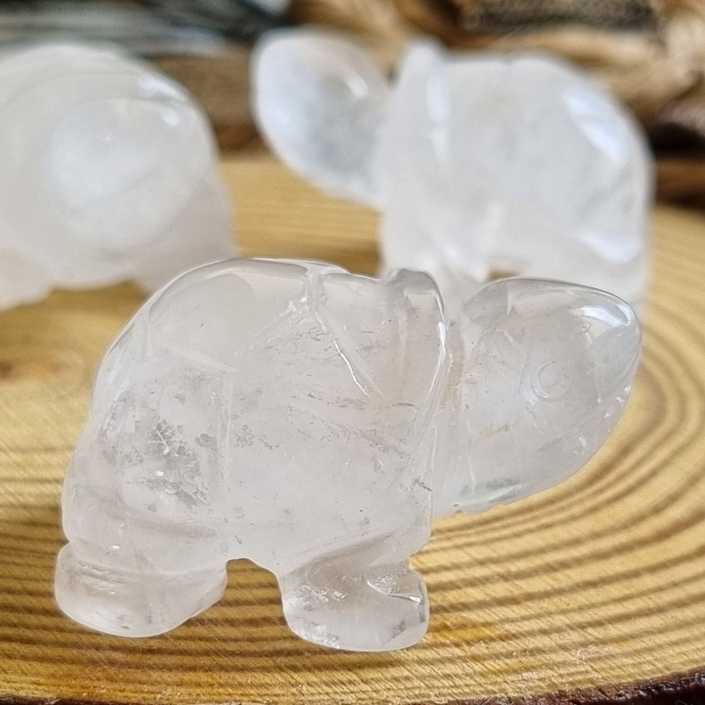 Clear Quartz Tortoise Figurine Display