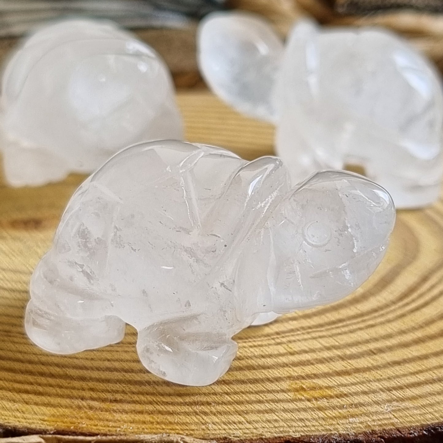 Clear Quartz Tortoise Figurine Display