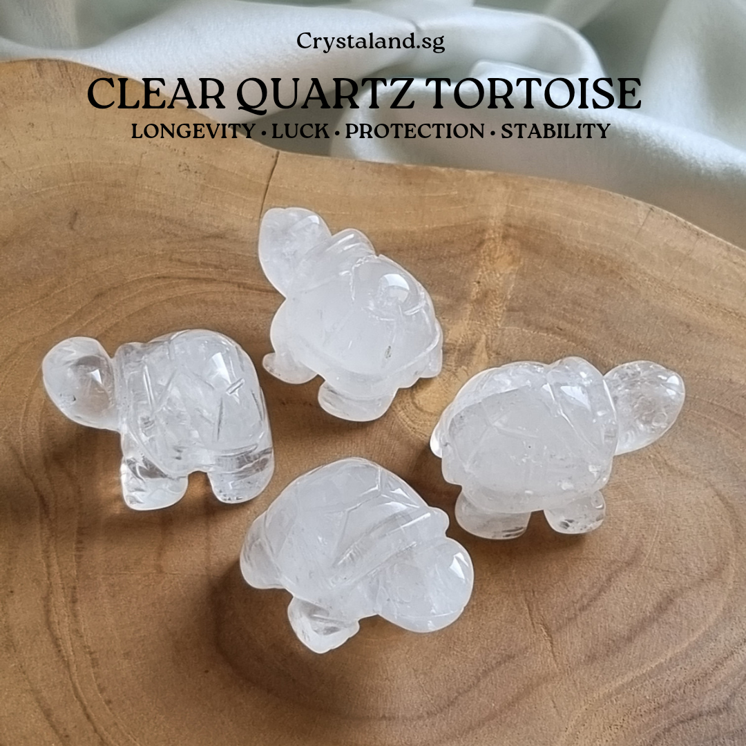 Clear Quartz Tortoise Figurine Display