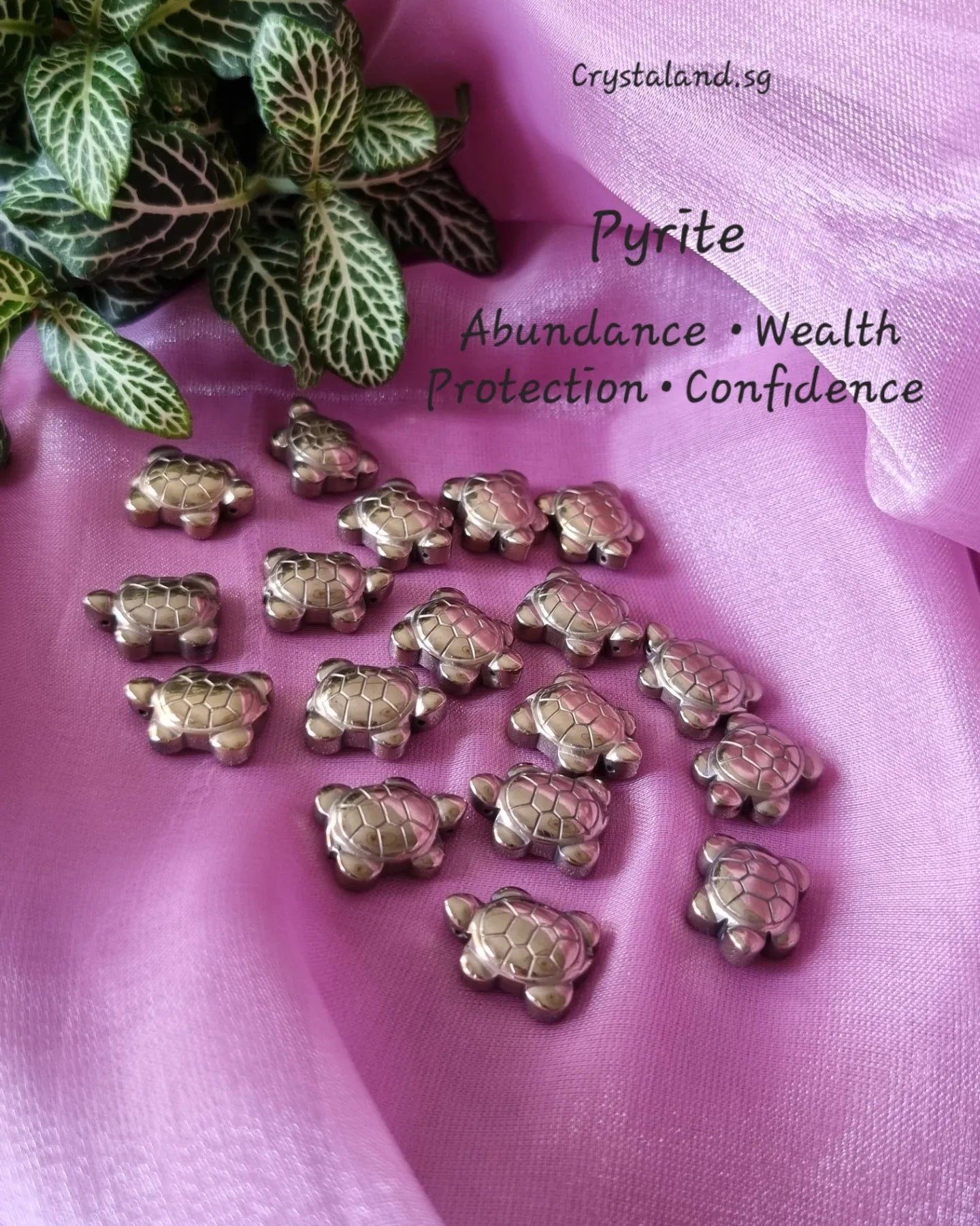 Pyrite Turtle