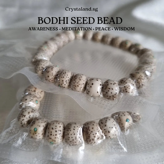 Bodhi Seed Bead Bracelet
